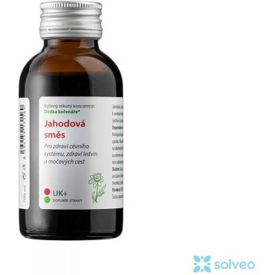Dědek kořenář Novy Jahodová směs 100 ml – Hledejceny.cz
