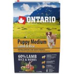Ontario Puppy Medium Lamb & Rice 2,25 kg – Hledejceny.cz