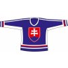 Hokejový dres SportTeam Hokejový dres SR 5 modrý