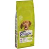 Vitamíny pro zvířata Purina Dog Chow Adult Lamb & Rice 2 x 14 14 kg