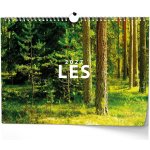 nástěnný Les 45cm x 32cm BNK22-27 2027 – Sleviste.cz