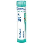 CAUSTICUM POR 200CH GRA 1X4G – Hledejceny.cz