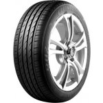 Delinte DH2 205/60 R16 92H – Hledejceny.cz