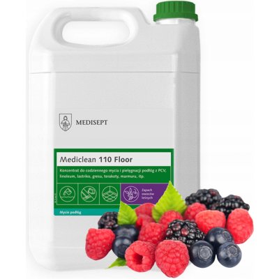Floor Clean MC110 na podlahy s vůní lesních plodů 5 l – HobbyKompas.cz