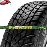 GT Radial WinterPro 2 235/60 R17 106H – Hledejceny.cz