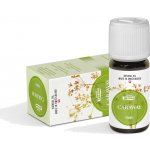 Natural100% éterický olej Kmín 10 ml – Hledejceny.cz