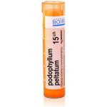 PODOPHYLLUM PELTATUM POR 15CH GRA 4G – Hledejceny.cz