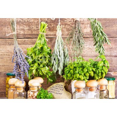 WEBLUX 70518876 Fototapeta plátno various fresh and dried herbs různé čerstvé a sušené byliny rozměry 174 x 120 cm