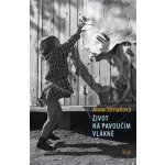 Život na pavoučím vlákně – Zbozi.Blesk.cz