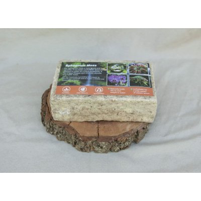 Sphagnum moss Rašeliník z Číny 500g – Sleviste.cz