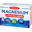 Terezia Magnesium + vitamin B6 a meduňka 30 kapslí