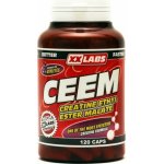 XXtreme Nutrition CEEM 240 kapslí – Sleviste.cz