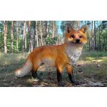 Prodex Import Liška velká figura do zahrady – Zboží Dáma