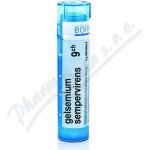 GELSEMIUM SEMPERVIRENS POR 9CH GRA 1X4G – Hledejceny.cz