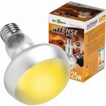 Repti Zoo Intense Basking Spot 25 W – Zboží Dáma