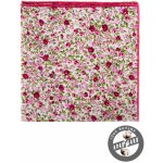 Avantgard Kapesníček do saka Lux 583-51042 – Hledejceny.cz
