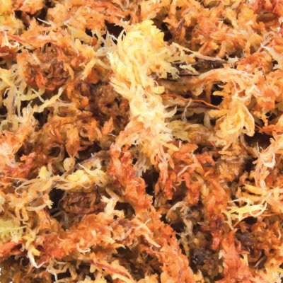 Trixie Rašelinovníkový mech 100 g – Zboží Dáma