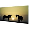 Obraz Obraz na skle Polní sunset jednorožci 100x50 cm