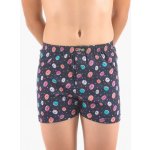 Gina dětské trenky volné chlapecké, šité s potiskem 65015P tm.popel muškátová – Zboží Dáma