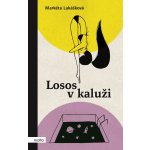 Losos v kaluži - Lukášková Markéta – Hledejceny.cz