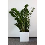 Lamela Květináč Juka 400 x 400 mm ratan bílý – Hledejceny.cz