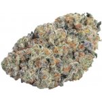 Growers Choice Double Donny Burger semena neobsahují THC 3 ks – Hledejceny.cz