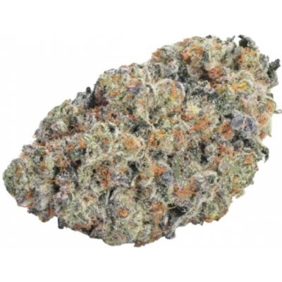 Growers Choice Double Donny Burger semena neobsahují THC 3 ks – Hledejceny.cz