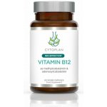 Cytoplan Vitamin B12, 1000 µg metyl+adenosylkobalamin 60 tablet – Hledejceny.cz