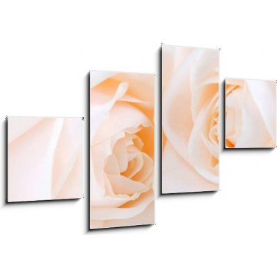 Obraz 4D čtyřdílný - 100 x 60 cm - Two delicate high key beige roses macro floral background Dvě jemné vysoké klíčové béžové růže makro květinové pozadí – Zboží Mobilmania