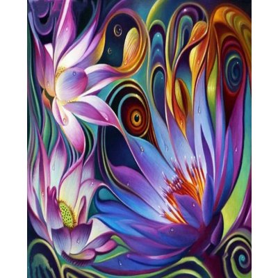 Amparo Miranda® Diamantový obrázek Abstraktní květy AM847 – Hledejceny.cz