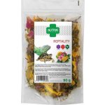 Nutrin Nature Reptality 80 g – Zboží Dáma