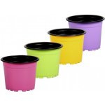 NOHEL GARDEN květináč sadbový COLOR/BLACK 11 cm – Hledejceny.cz