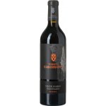 Tenuta Casenuove Chianti Classico DOCG Riserva 2018 14,5% 0,75 l (holá láhev) – Hledejceny.cz