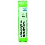 CAULOPHYLLUM THALICTROIDES POR 5CH GRA 1X4G – Hledejceny.cz
