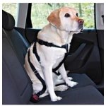Trixie bezpečnostní postroj do auta pro psy S 30-60 cm – Zboží Mobilmania