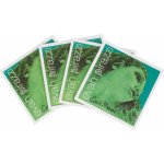 Pirastro EVAH PIRAZZI 419021 – Zboží Dáma