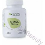 Natural Medicaments Chaga 500 mg 90 kapslí – Hledejceny.cz