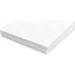 PAP Ubrousek FSC Mix 1vV bílý 30x30cm 100ks – Hledejceny.cz