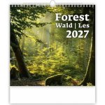 nástěnný Forest/Wald/Les 30cm x 30cm, N171-27 2027 – Zboží Dáma