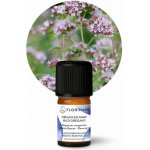 Florihana Divoké oregano compacta BIO 5 g – Hledejceny.cz