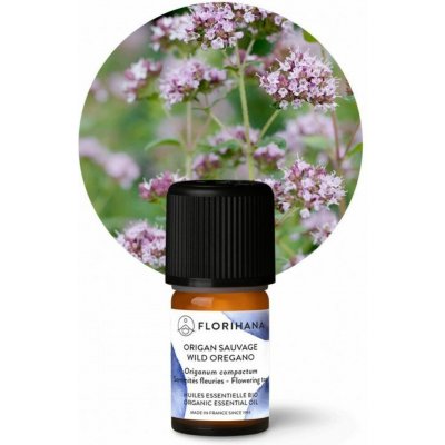 Florihana Divoké oregano compacta BIO 5 g – Hledejceny.cz