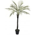 Umělá květina Palma v květináči 180 cm YD355 – Hledejceny.cz