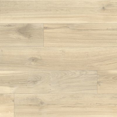 Beaulieu Fortex 2920 5 m 1 m² – HobbyKompas.cz