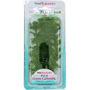Akvarijní rostliny Tetra Green Cabomba 15 cm