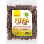 Wolfberry Včelí chléb Perga 100 g – Zboží Dáma