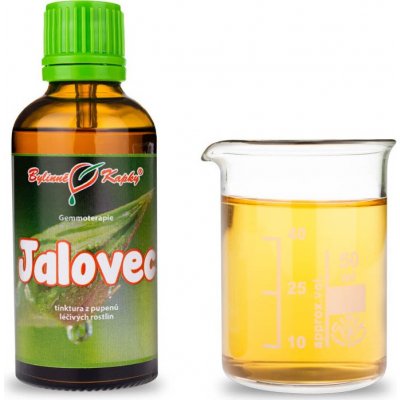 Jalovec tinktura z pupenů (gemmoterapie) 50 ml doplněk stravy