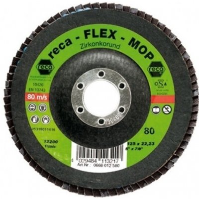 Reca Kotouč lamelový brusný 125 mm 012512000 – Zboží Dáma