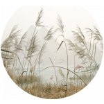 AG Design CR3304 Samolepicí vliesová fototapeta Rákosí Tráva, rozměry 140 x 140 cm – Zboží Dáma