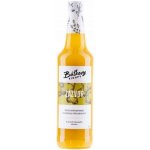 Báťkovy Bylinkové Sirupy Jitrocel 0,5 l – Sleviste.cz