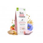 Brit Care Sustainable Sensitive Insect & Fish 12 kg – Zboží Dáma